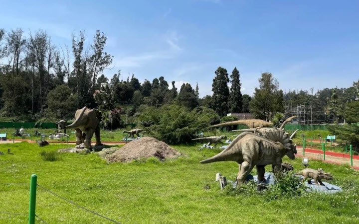 Thunder World, Nilgiris, Tamil Nadu - Vushii.com